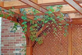Il preventivo è gratuito e non ti vincolerà nell'acquisto. Autorizzazione Gazebo Giardino Privato