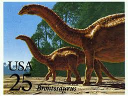 Apatosaurus grew up to 69 ft (21 m) long and ate plants. Beloved Brontosaurus Makes A Comeback Nature News Comment