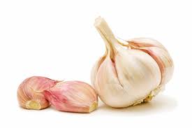 Maybe you would like to learn more about one of these? Garlic Is Toxic To Dogs Pet Poison Helpline