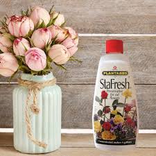 Top suggestions included soda, aspirin, and vodka. Buy Stafresh Cut Flower Food For Long Lasting Blooms Plant Preservative Mix Extends Life For All Cut Roses Garden Flowers And Bouquets Pet Safe Online In Vietnam B095kz926z
