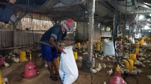 We did not find results for: Https Jabar Tribunnews Com 2021 08 04 Meski Angkanya Turun Bor Rumah Sakit Di Ciamis Masih Yang Tertinggi Di Jawa Barat Https Cdn 2 Tstatic Net Jabar Foto Bank Images