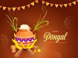 Happy Pongal Celebration Concept With Rice Cooking Clay Pot Over Firewood In 2021 Happy Pongal Pongal Celebration Colorful Backgrounds