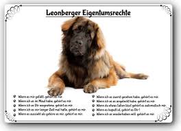 We believe that the leonberger truly is the perfect family dog. Warnschild 20x30cm Lustige Eigentumsrechte Leonberger 01 Ebay