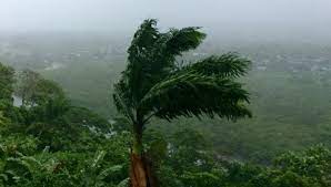Gratuite pentru uz comercial fără atribuiri necesare fără drepturi de autor. Ciclon Tropical Harold Golpea Poblados En El Pacifico Causa Muertes Y Danos Graves En Viviendas Colima Noticias