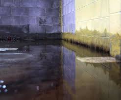 When your basement is flooded, your well and your septic area will likely be flooded too. Basement Flooding Repair And Prevention Indiana Foundation Service