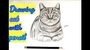 Drawingnow offers a step by step drawing tutorials for kids, beginners and advanced artists. Simple Drawing Cat With Pencil Melukis Kucing Dengan Pensil Youtube