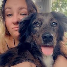 Can anyone identify this plant?