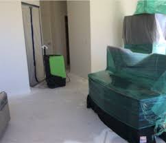 Image result for palmetto mold removal services
