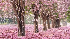 10 Hours Of Relaxing Music Sleep Music Soft Piano Music Healing Music By Soothing Relaxation Youtube