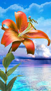 Screen Wallpapers Free Download Group 71 Download hd 3d wallpapers best collection.