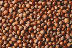 More than 15000 plants are ready for sale. 11 Varieties And Types Of Nuts Epicurious