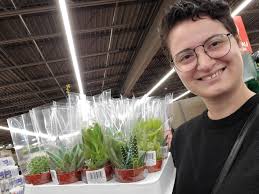 Aldi's bathroom decor and succulent purchases