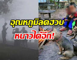 ประกาศเตือนภัยลักษณะอากาศ อากาศหนาวเย็นบริเวณประเทศไทยตอนบนและคลื่นลมแรงบริเวณอ่าวไทย (มีผลกระทบจนถึงวันที่ 13 มกราคม 2564) Ugm93 Gpy9sftm