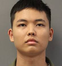 World Series Weekend Brings 19 Arrests To Wrigleyville