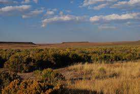 Image result for Little Catnip Spring - Sheldon Refuge Winnemucca NV