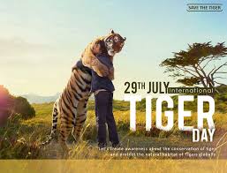 International tiger day drawing poster | easy tiger drawing | tiger cub drawing | 29th july drawingwatch part 2 for colour 😊if you find it worthy, you can. International Tiger Day On Behance