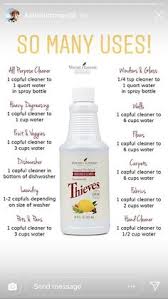 If it is too runny, add more. Thieves Household Cleaner
