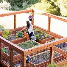 Dog Proof Garden I Think Rodents Would Have A Hard Time Getting To The Plants As We Vegetable Garden Design Making Raised Garden Beds Building A Raised Garden