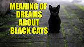 Search symbols meaning (one by one): Cat Dream Meaning Black Cat In Dream Dreaming Of Cats Khwab Mein Kali Billi Dekhna Ki Tabeer Youtube