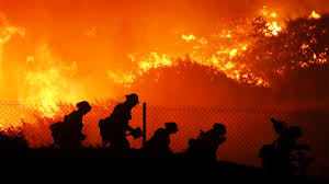 Jul 18, 2019 · a wildfire is an uncontrolled fire that burns in the wildland vegetation, often in rural areas. U S Wildfires Plummeted In 2019 Experts Say It Won T Last Science Aaas