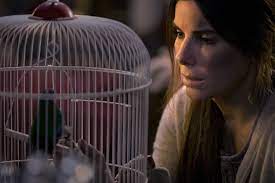 As the chapters proceed, transitions between two parts starts to occur. Bird Box Is Full Of Plot Holes We Tried And Sometimes Failed To Plug Them The New York Times