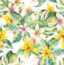 Elegant hand painted watercolor floral pattern featuring white rose flowers with golden inside and green leaves by kateryna savchenko. Natural Floral Leaves Exotic Watercolor Seamless Pattern White And Yellow Flower Orchid Green Tropical Leaves Botanical Summer Illustration On White Background Stock Photo Picture And Royalty Free Image Image 55449244