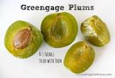 greengage - Google Search
