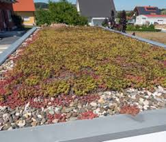 Mit dem zinco garagenpaket verwandeln sie ihre garage in eine grüne oase. Dachbegrunung Fur Fertiggaragen Zapf Garagenmodernisierung Wir Renovieren Sanieren Und Reparieren Ihre Alte Garage