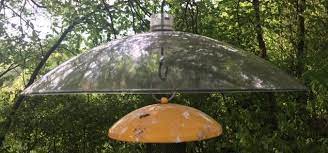 Love looking out the window into your backyard? The Best Squirrel Baffles For Any Situation 11 Ideas Bird Watching Hq