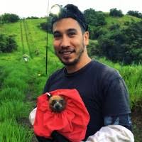 Image result for Oedina