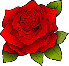 Pilih dari sumber gambar hd pelangi rose png dan unduh dalam bentuk png. Bunga Mawar Vector Png Free Png Images Vector Psd Clipart Templates