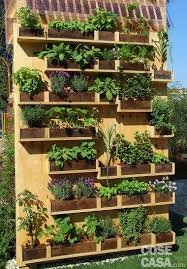 Parete 2 Gardening For Beginners Garden Layout Vegetable Vertical Vegetable Garden