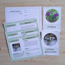 Ideenreise Blog Wissenskartei Und Miniposter Fruhbluher Update 2020 Mit Fotos In 2020 Fit Fur Die Schule Fruhbluher Grundschule Kinder Basteln Und Malen