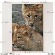 Pin On Lion Tiger Other Big Cat Themed Jigsaw Puzzles