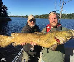 This Iowa Dnr Fisheries Crew Was Sampling West Lake Near Osceola When They Found And Released This Iowa Master Angler Wor Catfish Fishing Master Angler Fish