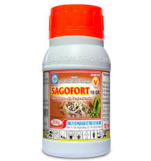 Sagofort 10GR