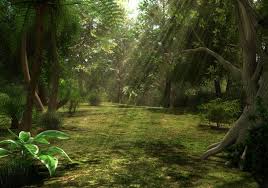 Jungle Scene 3d Model Jungle Scene 3d Model Scene