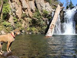 Maybe you would like to learn more about one of these? Best Secret Swimming Holes In Colorado Travel Channel