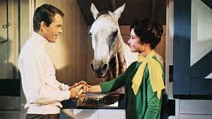 Where to Watch The Horse in the Gray Flannel Suit (1968) Online - Plex