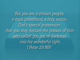 Peter has just demonstrated the glory and eternal character of god's word. 1 Peter 2 9 Niv Royal Priesthood 1st Peter 2 1 Peter