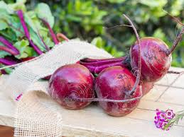 As well as being truly delicious, they're really easy to grow from seed—and you don't have to wait long 'til harvest time. How To Store Beets Diy