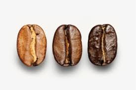 In this post, you will find out the hottest tips on how to determine the quality of coffee beans and select the best alternatives on your market. Coffee Beans Roasted Starbucks Coffee Beans Transparent Png 2160x1440 Free Download On Nicepng