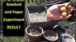 There are many types of soil used in the home garden, each with distinct differences. Can You Grow Potatoes In Sawdust Gardening Channel