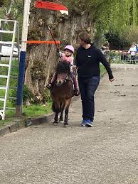 Ringsteken te paard... - Oranjecomité Ouderkerk a/d Amstel | Facebook