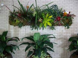Custom Orchid Wall Planter Wall Planter Orchids Hanging Plants