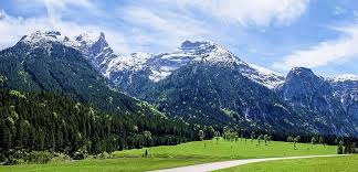 Send Flowers To Austria Flowers Worldwide Euroflorist