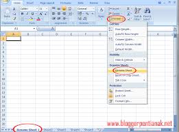 Seperti diketahui bahwa di m. Cara Rename Menambahkan Menghapus Dan Mewarnai Sheet Di Excel 2007 Untuk Pemula