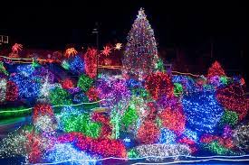 Zoolights At Point Defiance Zoo Aquarium Www Pdza Org Zoolights Point Defiance Zoo Zoo Lights Holiday Lights Display