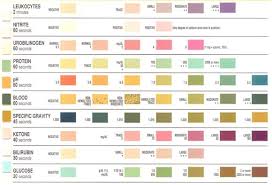 Urinary Tract Infection Clinical Features Investigations