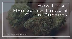 California child visitation law summary. Marijuana Child Custody Goldberg Jones Divorce For Men